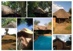 Eliman Thatching and Repairs