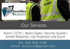 Boisi Securities & Projects