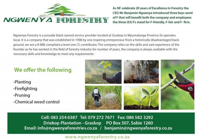 Ngwenya Forestry