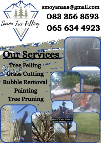 Simon Tree Felling