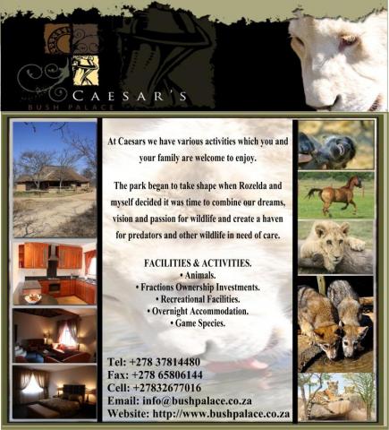 Ceasers Bush Palace