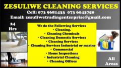 Zesuliwe Cleaning Services
