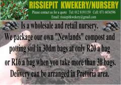 Rissiepit Kwekery / Nursery