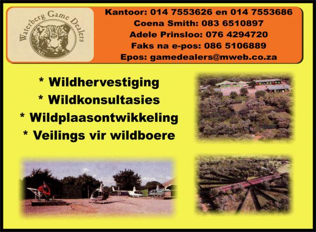 Game Capita / Waterberg Game Dealers