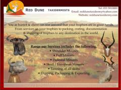 Red Dune Taxidermy