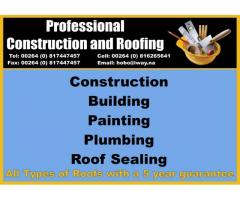 Professional Construction and Roofing