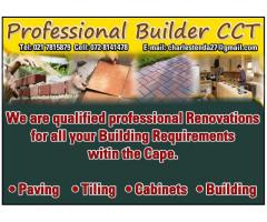 Professional Builder CCT