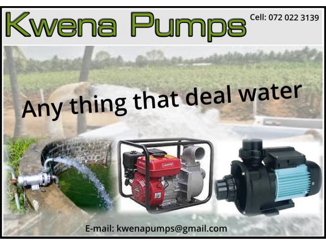 Kwena Pumps