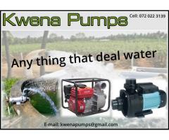 Kwena Pumps