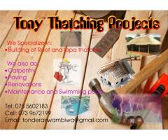 Tony Thatching Projects