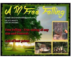 A M Tree Felling