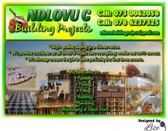 Ndlovu C Building Projects