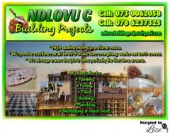 Ndlovu C Building Projects