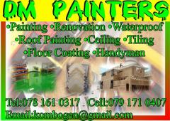 DM Painters