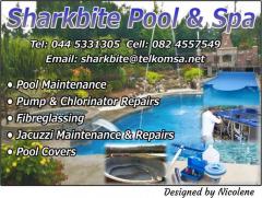 Sharkbite Pool & Spa
