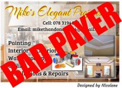 Mike's Elegant Projects cc