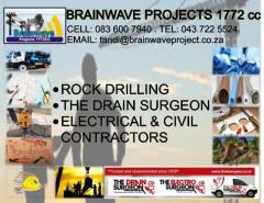 Brainwave Projects