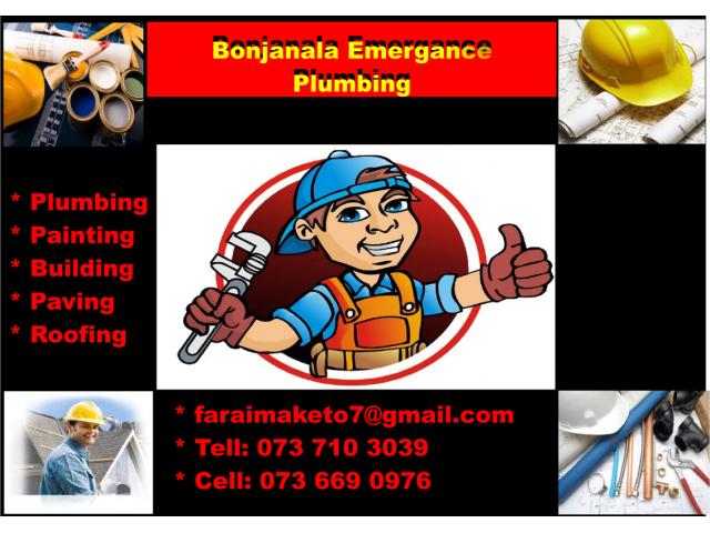 Bonjanala Emergence Plumbing