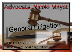 Advocate Nicole Mayet