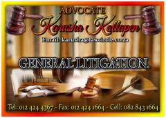Advocate Karusha Kollapen
