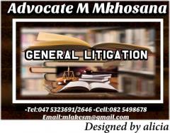 Advocate M Mkhosana