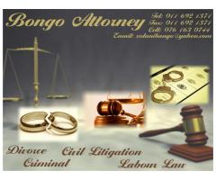 Bongo Attorney