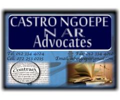Castro Ngoepe N AR Advocates