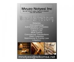 Mvuso Notyesi Inc