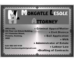 MOKGATLE LESOLE ATTORNEY